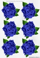 Six lovely royal blue roses