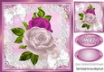 pretty A5 pink/cream roses in heart pyramids with organza bow