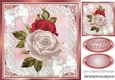 pretty roses in shades of pink, in ornate frame with lace 8x8