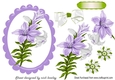 pretty lilac lilies in scalloped frame with bow A5
