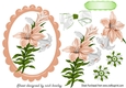 pretty lilies magnolias in scalloped frame with bow A5