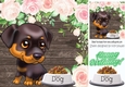 cute little doberman  puppy with pink roses (four) 8x8