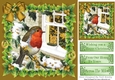 lovely robin in the snow in  christmas holly frame with gold bow 8X8