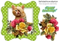cute ginger kitten with roses/flowers and flowerpot