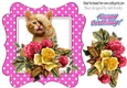cute kitten with roses/flowers in cerise polkadot frame