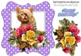 cute kitten with roses/flowers in purple polkadot frame