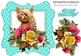 cute kitten with roses/flowers in turq polkadot frame