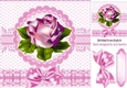 pink rose with bow 8x8