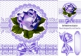 purple rose with bow 8x8
