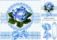 blue rose with bow 8x8
