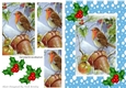 Robin in the snow with pyramids and holly A5 in blue snow frame