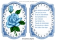 Blue roses on lace card front and  insert A5