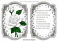 white roses on lace card front and  insert A5