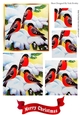 Lovely winter birds playing in the snow square pyramids