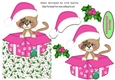 Cute little kitty in a pink santa hat in  xmas box with holly over the edge