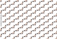 background paper with siamese cats