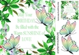Pretty green flower and rainbow butterfly frame with sentiment 8x8