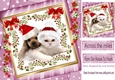 cute puppy and kitty in santa hats with bow in pink star frame with flowers 8x8