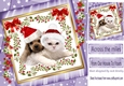 cute puppy and kitty in santa hats with bow in  purple star frame with flowers 8x8