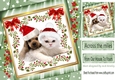 cute puppy and kitty in santa hats with bow in green star frame with flowers 8x8