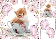 Sweet little kitten in a teacup in flower with butterflies frame 8x8
