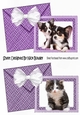 Two cute puppies and kitten card fronts envelope effect (purple) A5