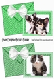 Two cute puppies and kitten card fronts envelope effect (green) A5