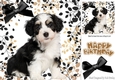 Cute black/white puppy with black bow in leaf frame 8x8