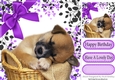 Adorable little puppy sleeping  in leaf frame with purple bow 8x8