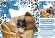 Adorable little puppy sleeping in leaf frame with blue bow 8x8