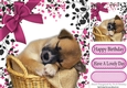Adorable little puppy sleeping  in leaf frame with pink bow 8x8