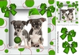 Cute puppies in santa hat and green bauble in picture frrame 8x8