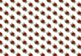 pretty red winter roses backing paper