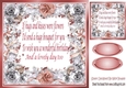 Pretty frame adorned with peach and silver roses (BIRTHDAY) Card front 8x8