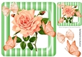 pretty big peach rose with buds in stripe 8x8 frame