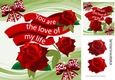 Pretty red rose with love sentiment banner 8x8