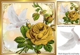 Beautiful big gold rose, with white dove 8x8