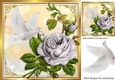 Beautiful big silver rose, with white dove 8x8