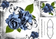 pretty blue rose with white butterflies in black/white mono frame 8x8