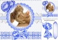 Mum and kitten on lace with blue bow 8x8
