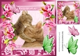 Cute painted mum and kitten with pretty pink flowers 8x8