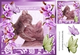 Cute painted mum and kitten with pretty lilac border flowers 8x8