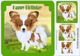 Cute Papillon puppy in green frame, with pyramids 8x8