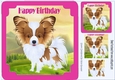 Cute Papillon puppy in pink frame, with pyramids 8x8
