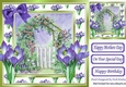 Pretty painted garden with gate and purple iris 8x8