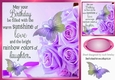 Pretty lilac roses for the birthday girl with butterflies 8x8