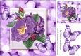 Pretty purple flowers with lovely purple butterflies 8x8