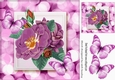 Pretty pink flowers with lovely pink butterflies 8x8