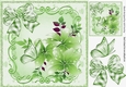 pretty green butterflies in lovely scroll frame with flowers 8x8