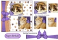 playful kittens with purple bow and pyramids 7x7
